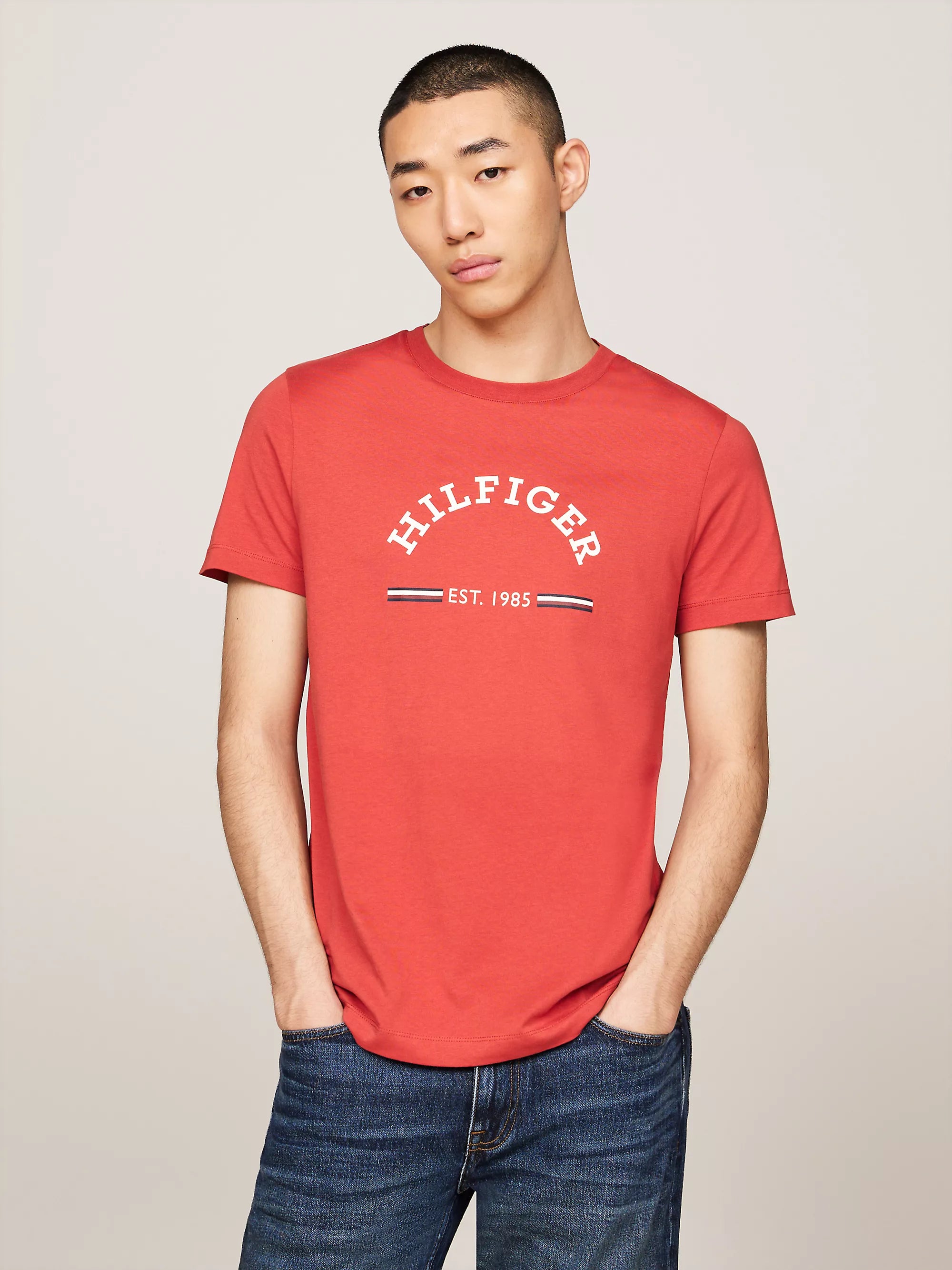 Tommy Hilfiger RWB Arch Tee